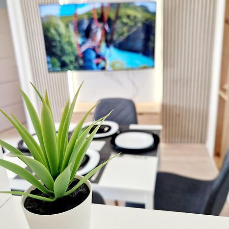 Cosy Novi Sad Loft, Self Check-In Apartment ภายนอก รูปภาพ